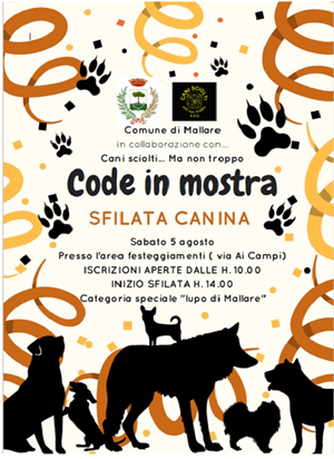 Code in Mostra